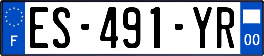 ES-491-YR