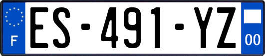 ES-491-YZ