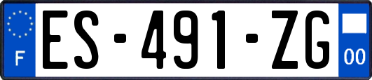 ES-491-ZG