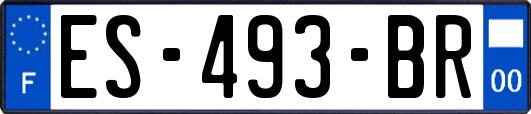 ES-493-BR