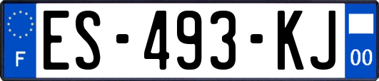 ES-493-KJ