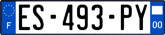 ES-493-PY