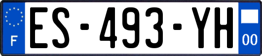 ES-493-YH