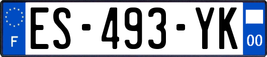 ES-493-YK