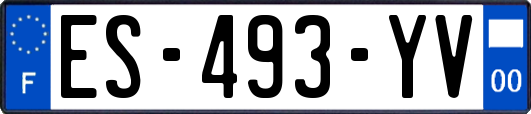 ES-493-YV
