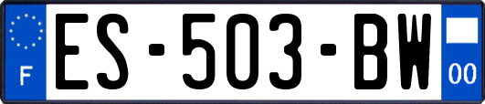 ES-503-BW