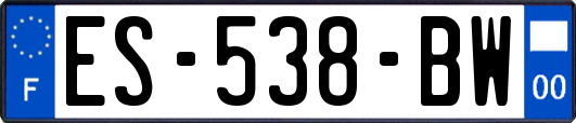 ES-538-BW