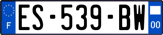 ES-539-BW