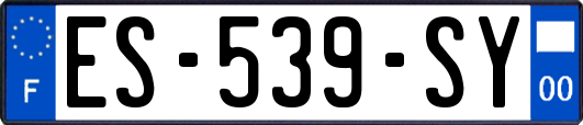 ES-539-SY