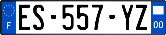 ES-557-YZ