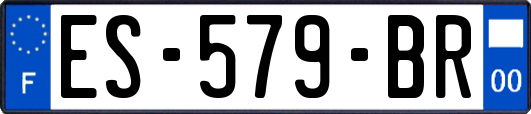 ES-579-BR