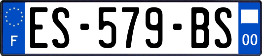 ES-579-BS