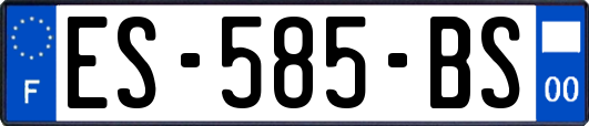 ES-585-BS