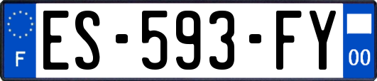ES-593-FY