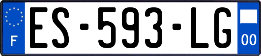 ES-593-LG