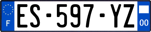 ES-597-YZ