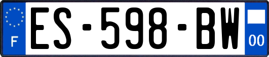 ES-598-BW