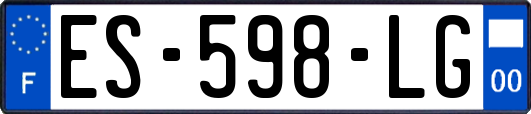 ES-598-LG