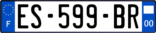 ES-599-BR