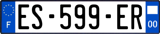 ES-599-ER