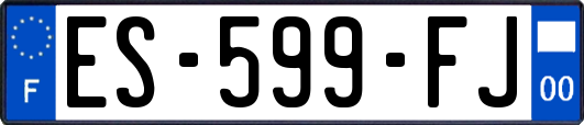 ES-599-FJ