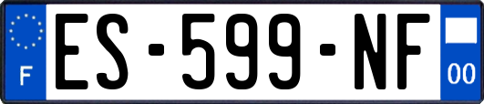 ES-599-NF