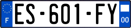 ES-601-FY