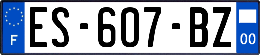 ES-607-BZ