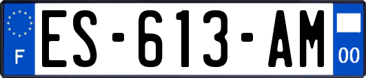 ES-613-AM