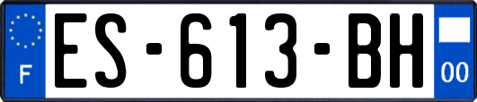 ES-613-BH