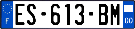 ES-613-BM