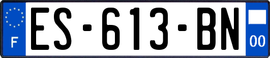 ES-613-BN