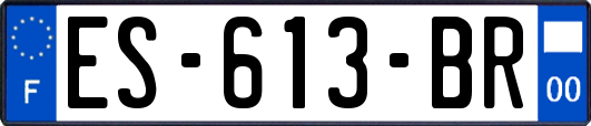 ES-613-BR