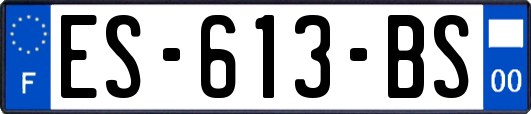ES-613-BS