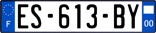 ES-613-BY