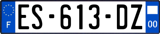 ES-613-DZ