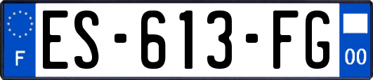 ES-613-FG