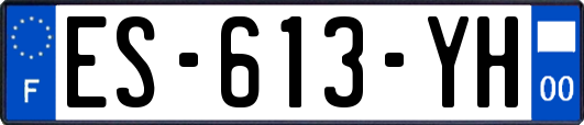 ES-613-YH