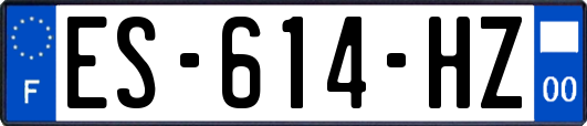 ES-614-HZ