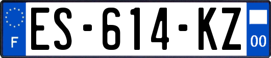 ES-614-KZ