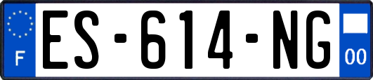 ES-614-NG