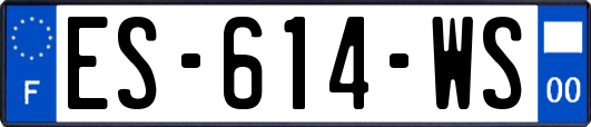 ES-614-WS