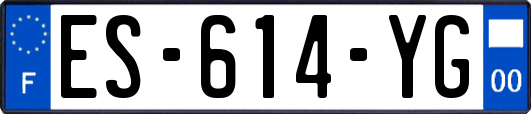 ES-614-YG