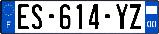 ES-614-YZ