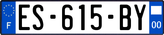 ES-615-BY