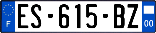 ES-615-BZ