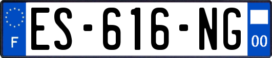 ES-616-NG