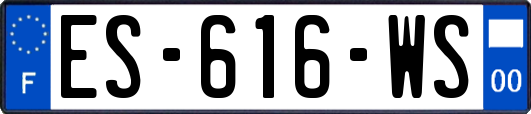 ES-616-WS