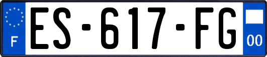 ES-617-FG