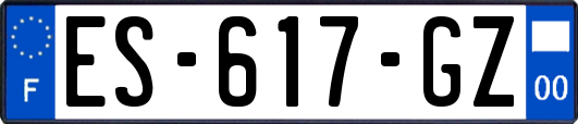 ES-617-GZ